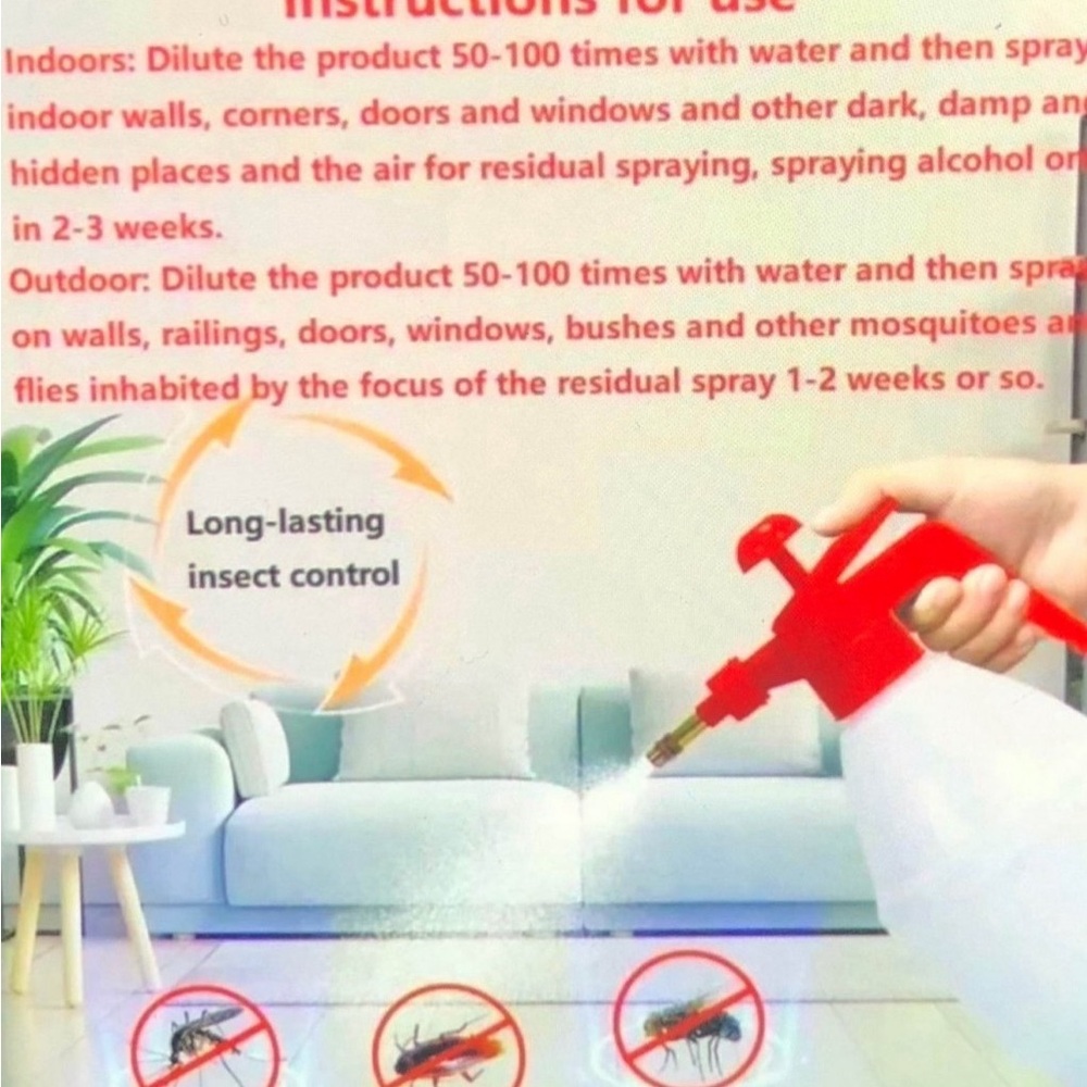 Cockroach - Picture 2 of 4